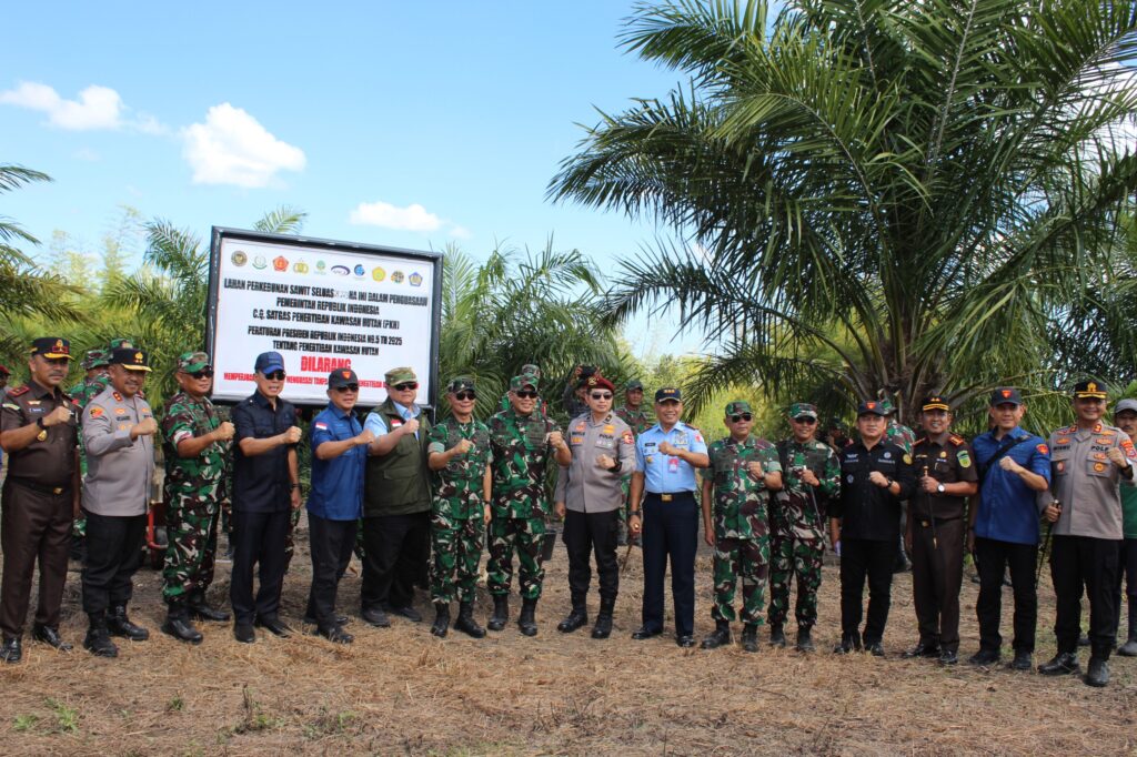 Tim Satgas Penertiban Kawasan Hutan yang terdiri dari Kejaksaan, TNI, Polri, BPKP, dan instansi terkait meninjau langsung lahan sawit ilegal
