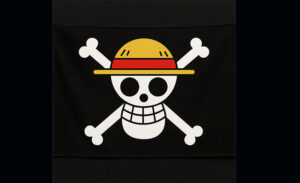 bendera one piece
