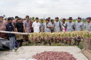 Bupati Wayan Adi Arnawa saat menghadiri Kegiatan Panen Perdana Pengembangan Bawang Merah di Subak Padedekan, Desa Angantaka, Abiansemal, Selasa, (19/8).