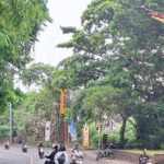 Lampu ornamen dengan desain khas Klungkung mulai menghiasi sepanjang Jalan Raya Banjarangkan. Program penerangan jalan ini diharapkan memperindah kawasan sekaligus mendukung kenyamanan pengguna jalan.
