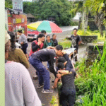 Petugas Damkar Badung bersama warga mengevakuasi seorang pria yang diduga melakukan percobaan bunuh diri di bawah Jembatan Tukad Bangkung, Desa Pelaga, Kecamatan Petang, Rabu (22/10/2025) siang.