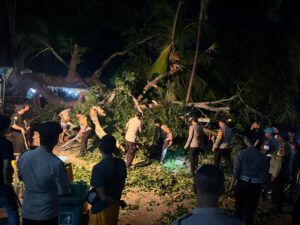 Petugas kepolisian bersama warga melakukan evakuasi dan pembersihan batang pohon gepah yang tumbang di area Pura Segara Penataran Ped, Nusa Penida, Rabu (5/11/2025) malam.