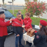 Sekjen PDIP, Hasto Kristiyanto tiba di Bandara Internasional Pattimura Ambon bersama rombongan, di sambut Ketua DPD PDI Perjuangan Maluku dan Sekretarisnya.