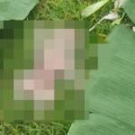 Penemuan jasad bayi yang sudah tak bernyawa di pinggiran Sungai Taman Pancing Timur, Denpasar Selatan, Selasa (4/11/2025) sore.