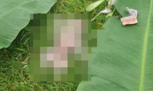 Penemuan jasad bayi yang sudah tak bernyawa di pinggiran Sungai Taman Pancing Timur, Denpasar Selatan, Selasa (4/11/2025) sore.