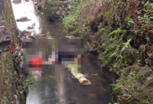 Seorang pria lanjut usia ditemukan sudah tidak bernyawa dan masih tergeletak di aliran Tukad Guming, Desa Sumerta Kaja, Denpasar Timur, Sabtu (8/11/2025) pagi. Korban diduga terpeleset dan jatuh ke sungai sebelum ditemukan warga.