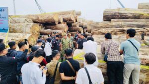 Para pejabat Kementerian Kehutanan, Kejaksaan, dan Satgas Garuda PKH meninjau tumpukan kayu hasil sitaan dalam kasus illegal logging di Kepulauan Mentawai, Sumatera Barat.