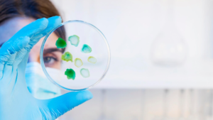 ILUSTRASI TES HPV DNA