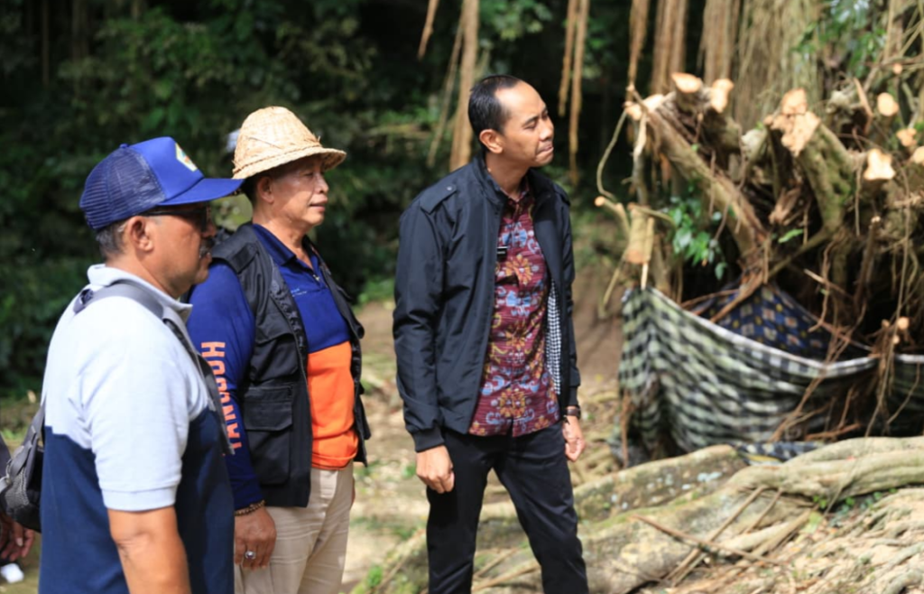 Wakil Bupati Klungkung meninjau langsung lokasi pohon beringin tumbang di Desa Getakan, Kecamatan Banjarangkan, Selasa (16/12).