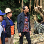 Wakil Bupati Klungkung meninjau langsung lokasi pohon beringin tumbang di Desa Getakan, Kecamatan Banjarangkan, Selasa (16/12).