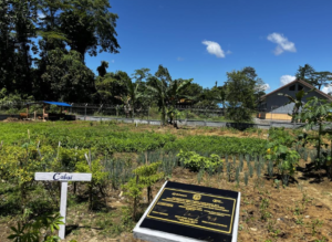 Lahan pekarangan SDN Muko kini dimanfaatkan sebagai Kebun Produktif, dengan penanaman bibit sayur serta pengelolaan hewan ternak sapi. Inisiatif ini menjadi wujud kolaborasi Bosch Indonesia dengan masyarakat untuk memperkuat ketahanan pangan dan meningkatkan gizi anak secara berkelanjutan.