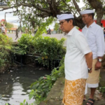 Bupati Wayan Adi Arnawa turun langsung ke lapangan untuk memantau aliran Tukad Pungut di wilayah Jimbaran, Kuta Selatan, Sabtu (3/1).