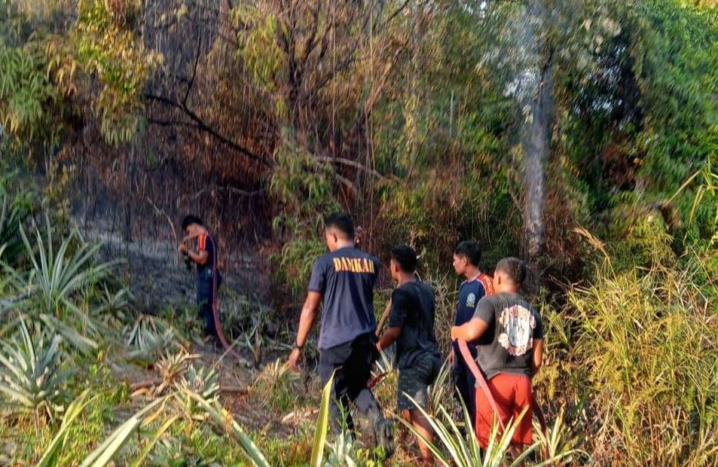 Lokasi kebakaran hutan di Kawasan Wailete, Hative Besar, Kota Ambon.