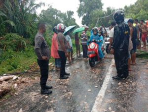 Kapolsek Leihitu bersama personel dan di bantu warga melakukan pembersihan pohon tumbang yang menghalangi jalan