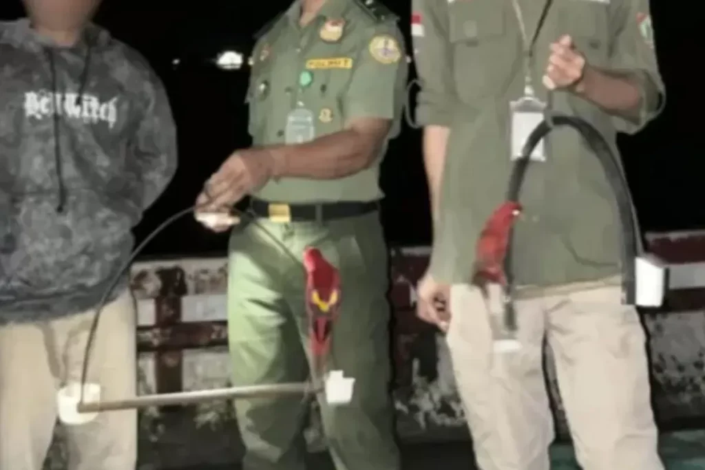 Dua Ekor Burung Nuri di amankan oleh petugas Resort KSDA Banda di atas kapal nelayan Kemini yang tengah bersandar di pelabuhan Banda.