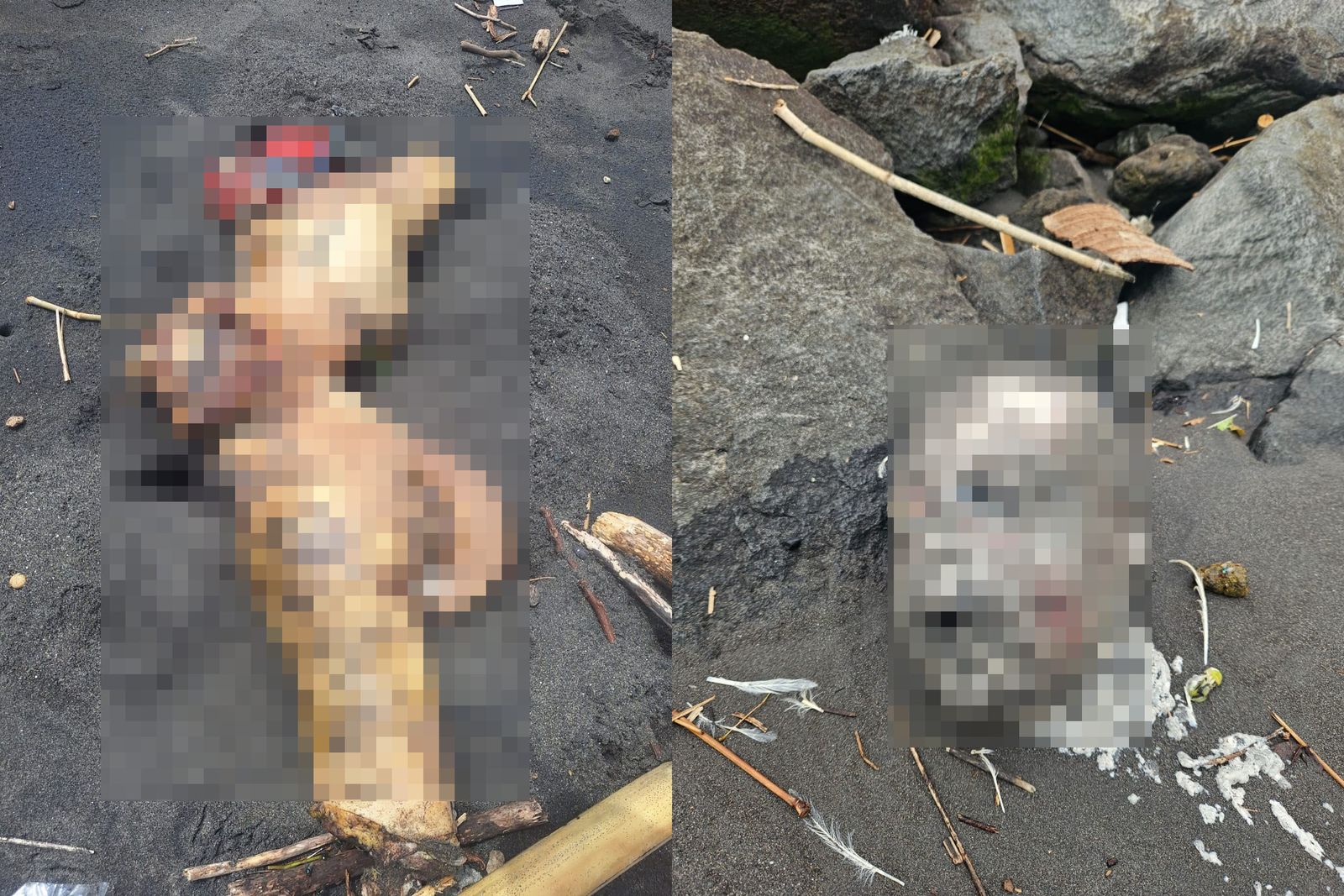 Potonngan tubuh manusia