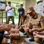 Wabup Bagus Alit Sucipta saat melakukan pemantauan ke sejumlah sentra produksi dan pengolahan pangan utama serta strategis di Kabupaten Badung, Senin (16/3).