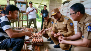 Wabup Bagus Alit Sucipta saat melakukan pemantauan ke sejumlah sentra produksi dan pengolahan pangan utama serta strategis di Kabupaten Badung, Senin (16/3).