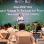 Pemerintah melalui Kementerian Lingkungan Hidup/Badan Pengendalian Lingkungan Hidup (KLH/BPLH) menggelar konsultasi publik Dokumen Rencana Perlindungan dan Pengelolaan Ekosistem Mangrove (RPPEM) Nasional.