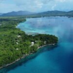 Dugong di Maluku Hadapi Ancaman, CTC Perkuat Konservasi Berbasis Masyarakat