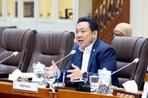 Wakil Ketua Komisi IX DPR RI Charles Honoris