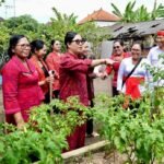 Ketua Tim Penggerak PKK Kabupaten Tabanan, Ny. Rai Wahyuni Sanjaya menggelar program 'Aksi Sosial Bergerak dan Berbagi' di Kecamatan Kerambitan dan Penebel, Rabu (6/5/2026).