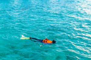Ilustrasi Spearfishing