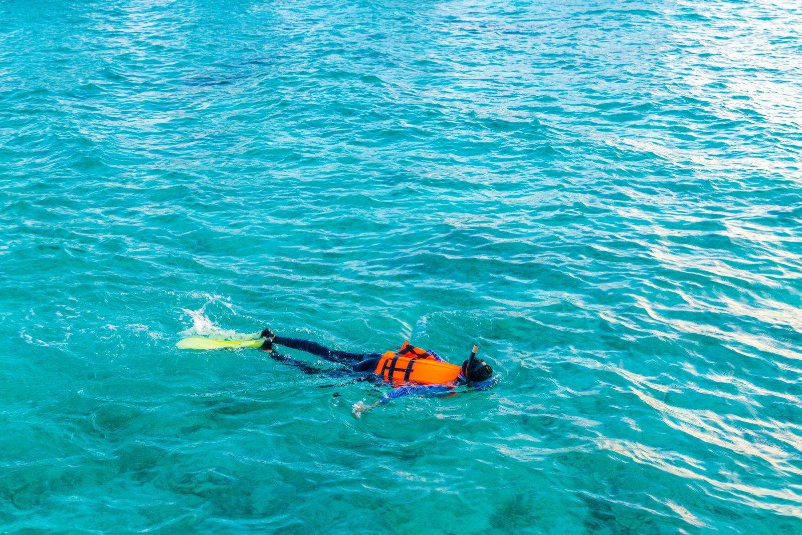 Ilustrasi Spearfishing