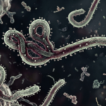 Kemenkes Pastikan Belum Ada Kasus Ebola di Indonesia, Pengawasan Pintu Masuk Negara Diperketat