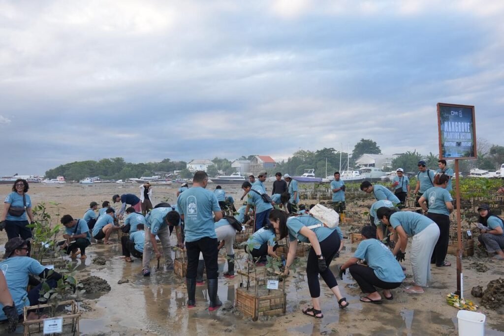 ITDC Nusantara Utilitas (NU), anak usaha InJourney Tourism Development Corporation (ITDC), melaksanakan penanaman 250 bibit mangrove di area Pudut, Desa Adat Tanjung Benoa, Bali, Selasa (19/5).