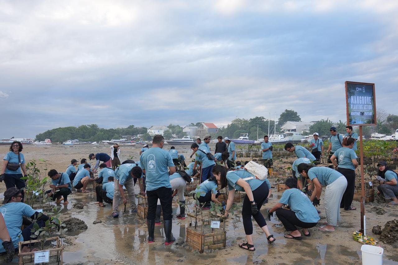 ITDC Nusantara Utilitas (NU), anak usaha InJourney Tourism Development Corporation (ITDC), melaksanakan penanaman 250 bibit mangrove di area Pudut, Desa Adat Tanjung Benoa, Bali, Selasa (19/5).