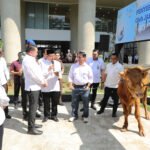 Jaksa Agung RI ST Burhanuddin menyerahkan hewan kurban dalam rangka menyambut Hari Raya Idul Adha 1447 Hijriah di Halaman Gedung Utama Kejaksaan Agung, Jakarta, Selasa (26/5/2026). (
