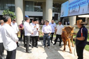 Jaksa Agung RI ST Burhanuddin menyerahkan hewan kurban dalam rangka menyambut Hari Raya Idul Adha 1447 Hijriah di Halaman Gedung Utama Kejaksaan Agung, Jakarta, Selasa (26/5/2026). (