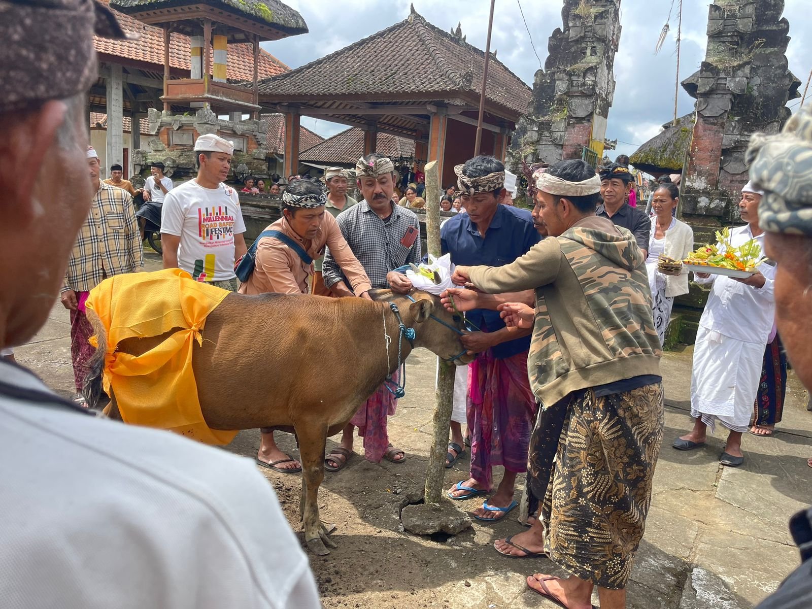 Prosesi upacara Ngrasakin di desa adat Mengani, Kintamani, Bangli.