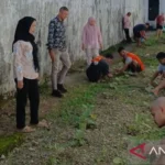 Warga Binaan pemasyarakatan (WBP) Kelas IIA Ambon, diberikan ketrampilan bercocok tanam.