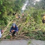 Warga setempat memblokade ruas jala dengan cara menebang pohon menutupi jalan.