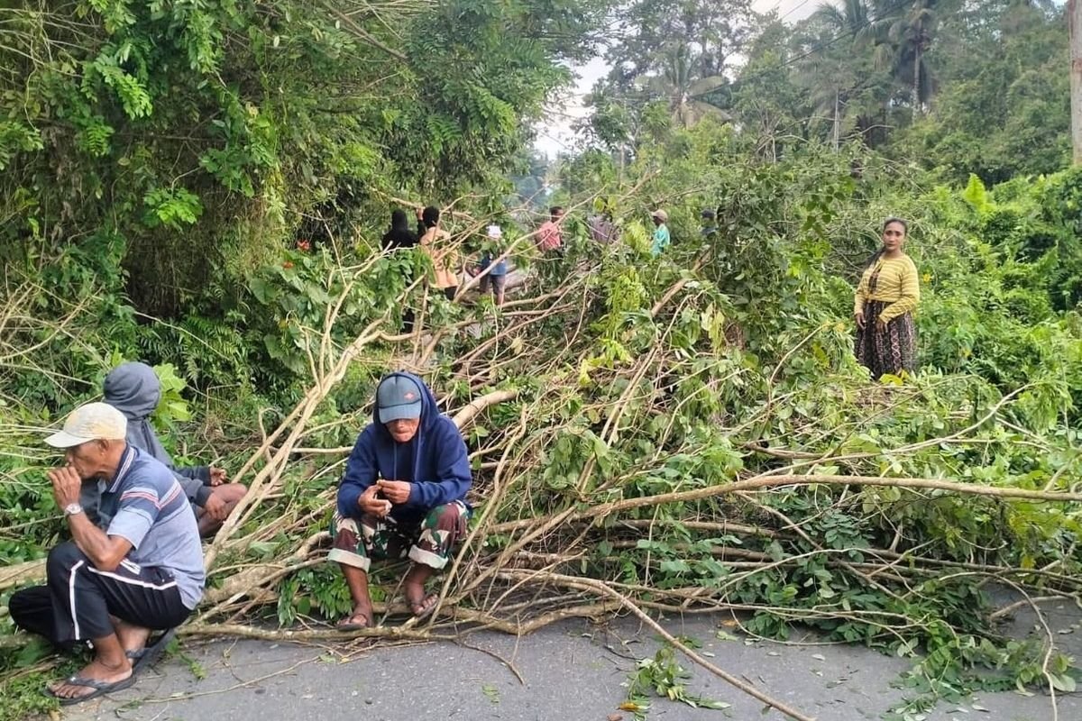 Warga setempat memblokade ruas jala dengan cara menebang pohon menutupi jalan.